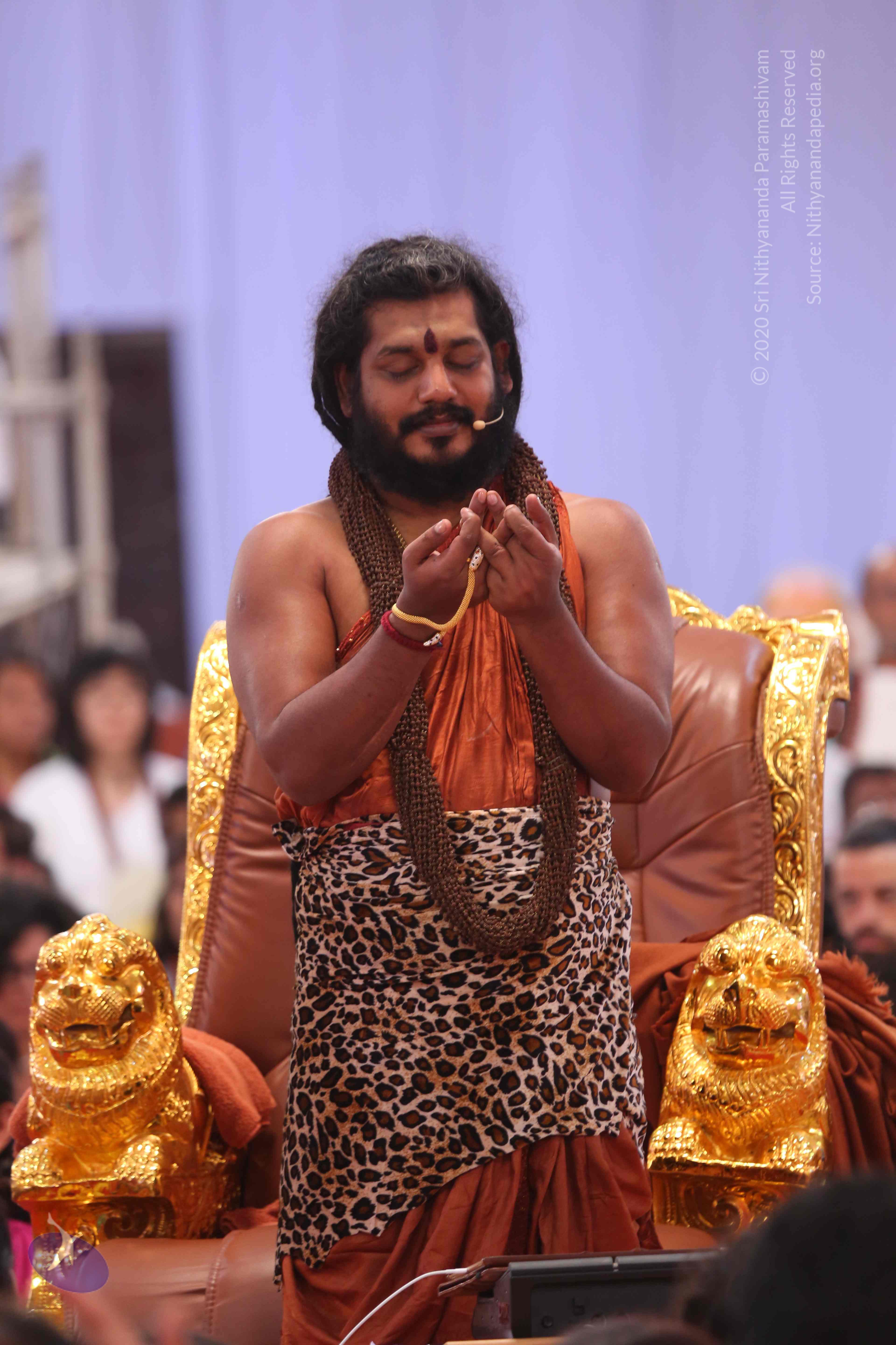 20161204_Photo_1214_IMGL5578_CMP_WM